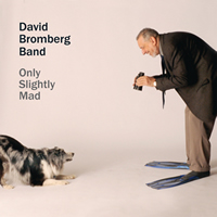 david bromberg