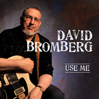 david bromberg