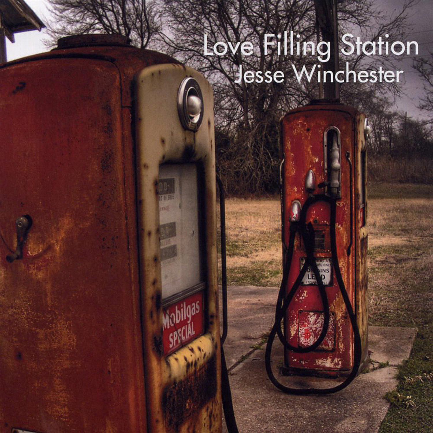 Jesse Winchester | A Reasonable Amount of Trouble (2014