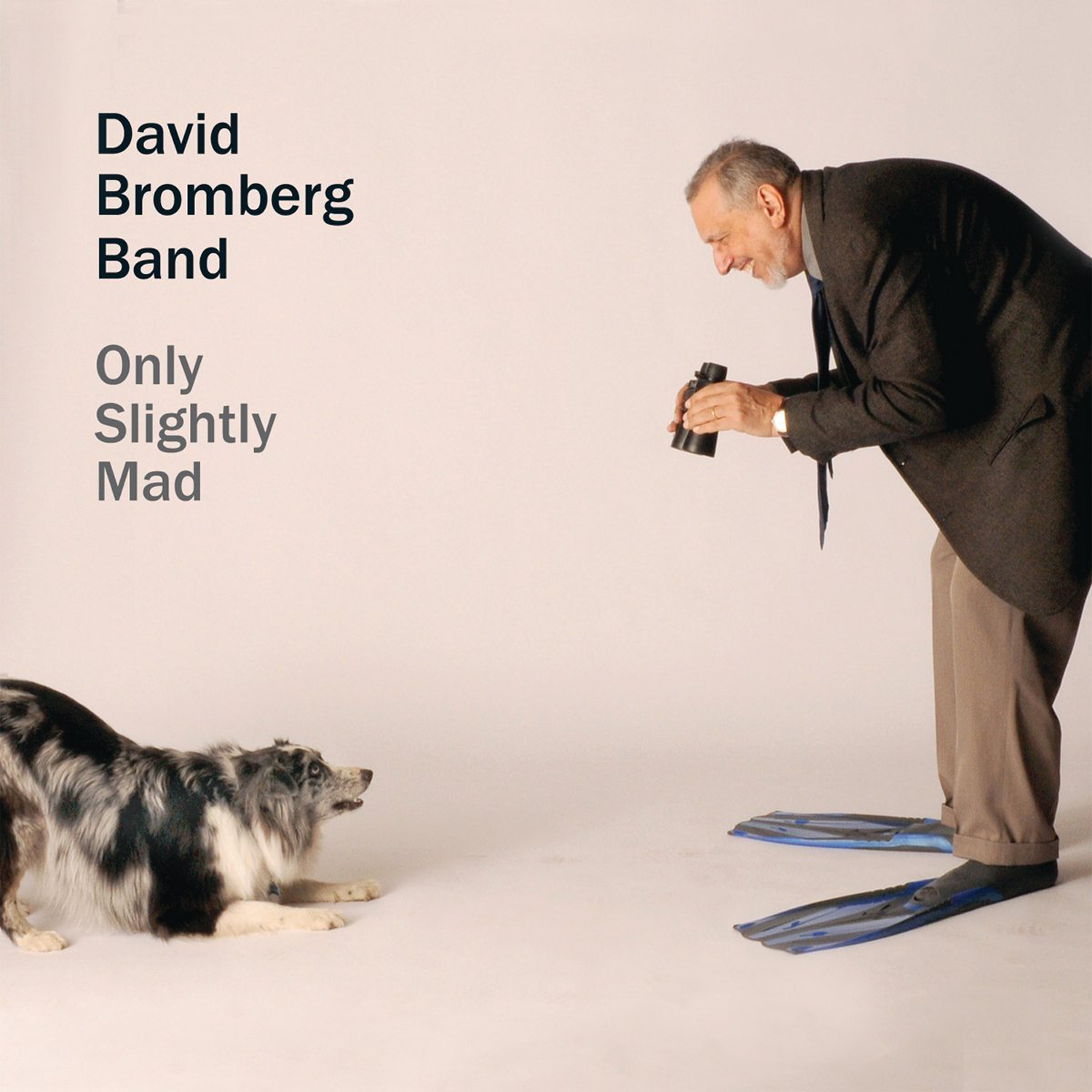 AOR CD David Bromberg| ヤマダウェブコム